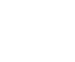 Logo Blue Phoenix